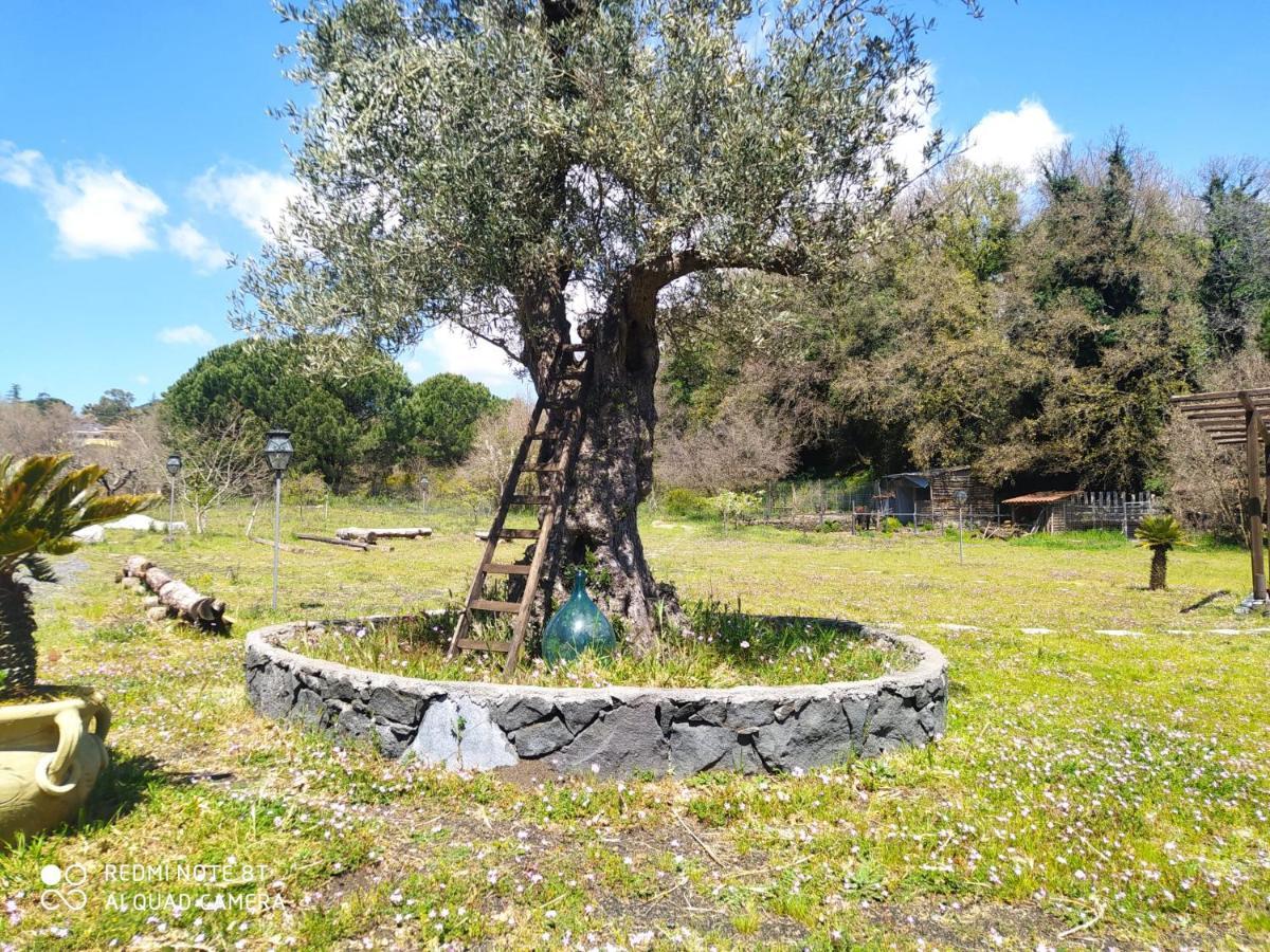 Antico Palmento Dell'Etna Hotel Pedara Luaran gambar